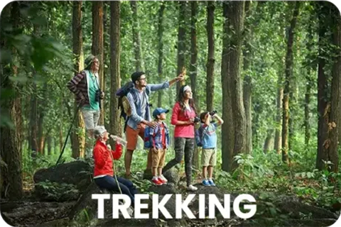 Trekking
