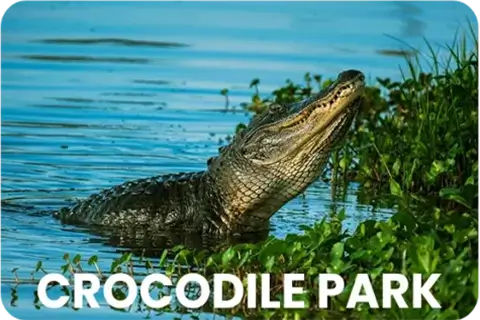 Crocodile Park